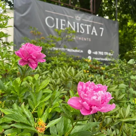Homestay Cienista 7