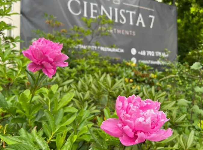 Ubytování v soukromí Cienista 7